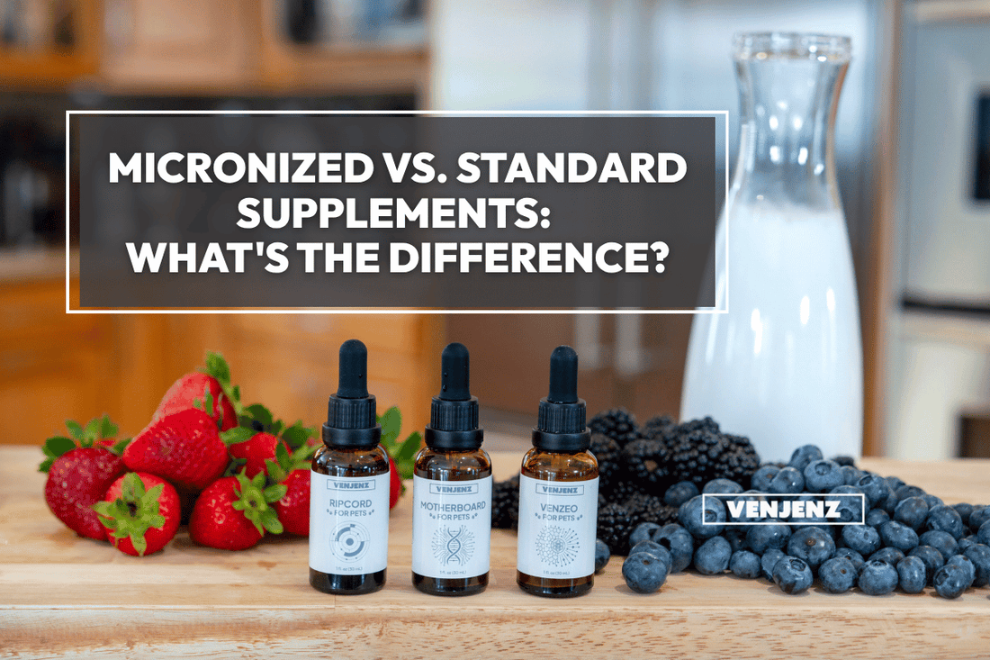 Micronized vs. Standard Supplements