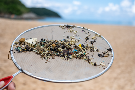 Microplastics are in what!? The tiny toxic pervasive threat to you, children and pets