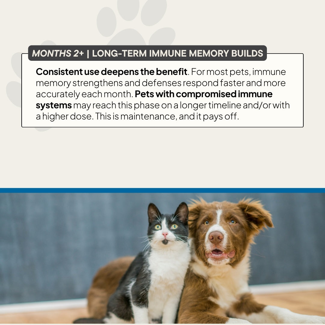 Immune | MOTHERBOARD for PETS