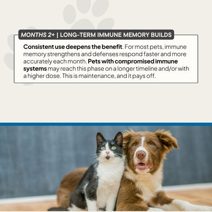 Immune | MOTHERBOARD for PETS