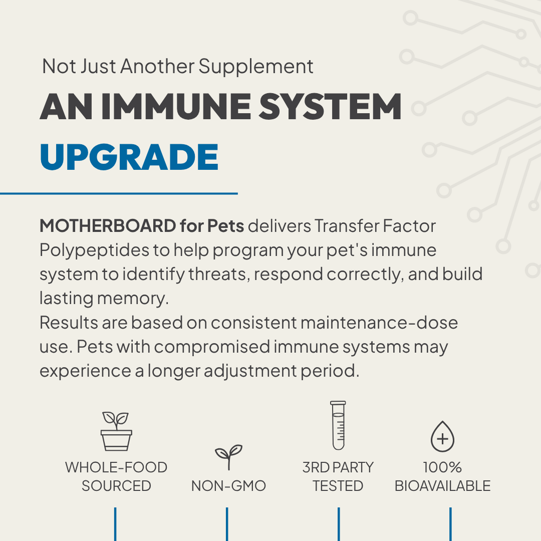 Immune | MOTHERBOARD for PETS
