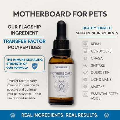 Immune | MOTHERBOARD for PETS