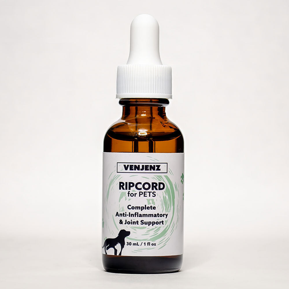 Anti-Inflammatory & Joint Support | RIPCORD for PETS